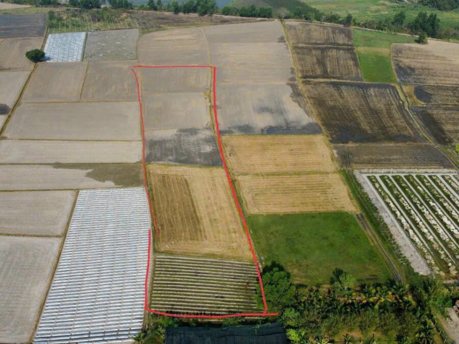 BÁN ĐẤT VƯỜN CỦ CHI – TRUNG LẬP HẠ | DTCN 7.200m² | ĐẤT TRỒNG CÂY HÀNG NĂM | GẦN NGUYỄN THỊ RÀNH